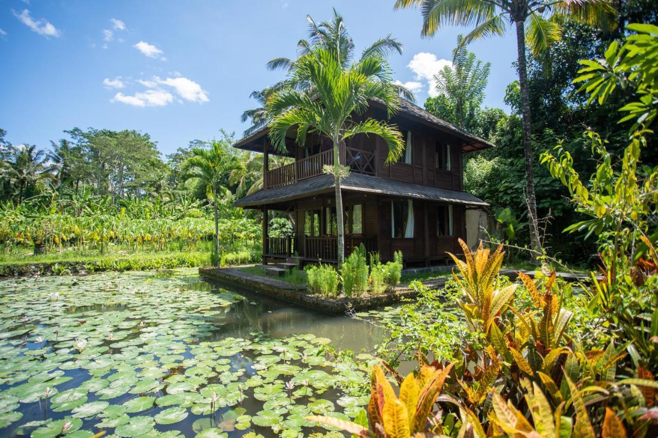 Villa Uma Ayu Sidemen Сидемен Екстериор снимка