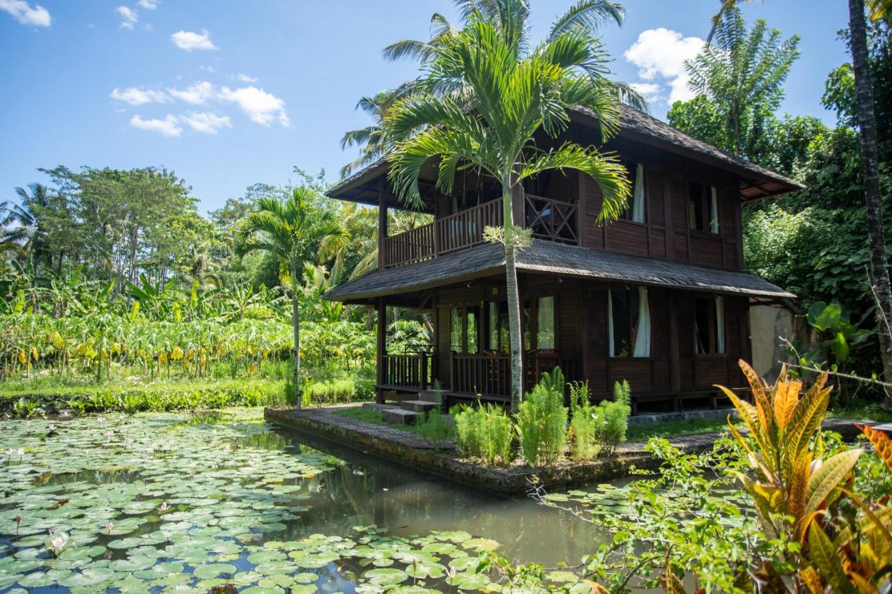 Villa Uma Ayu Sidemen Сидемен Екстериор снимка
