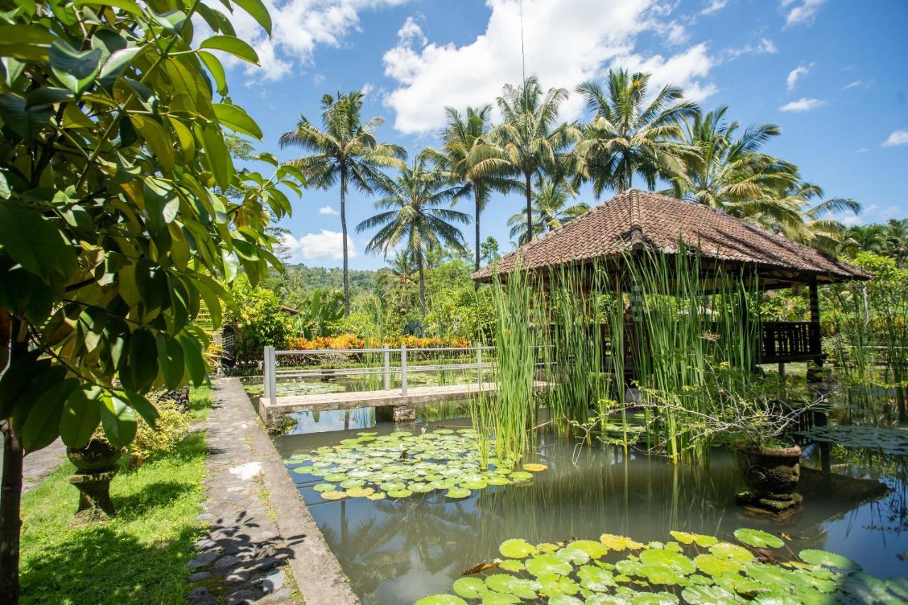 Villa Uma Ayu Sidemen Сидемен Екстериор снимка
